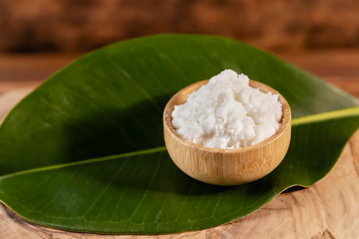 Instituto Zuzubecker - Blog - Estetica - Ingredientes da Amazonia - Manteiga de Cupuaçu